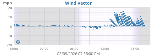 Wind Vector