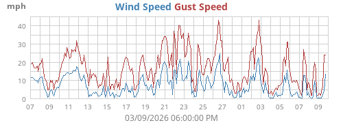 Wind Speed