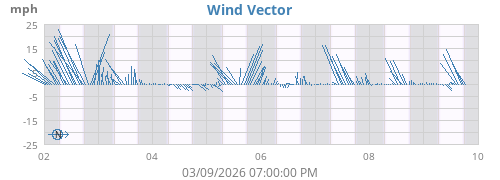 Wind Vector